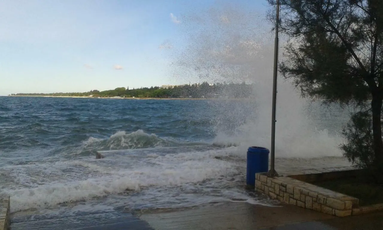 Apartments Elda Porec Croatia